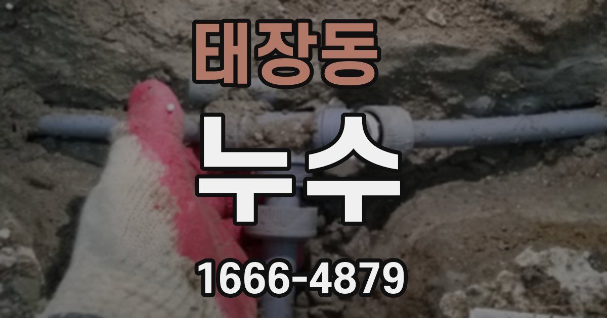 태장동 누수