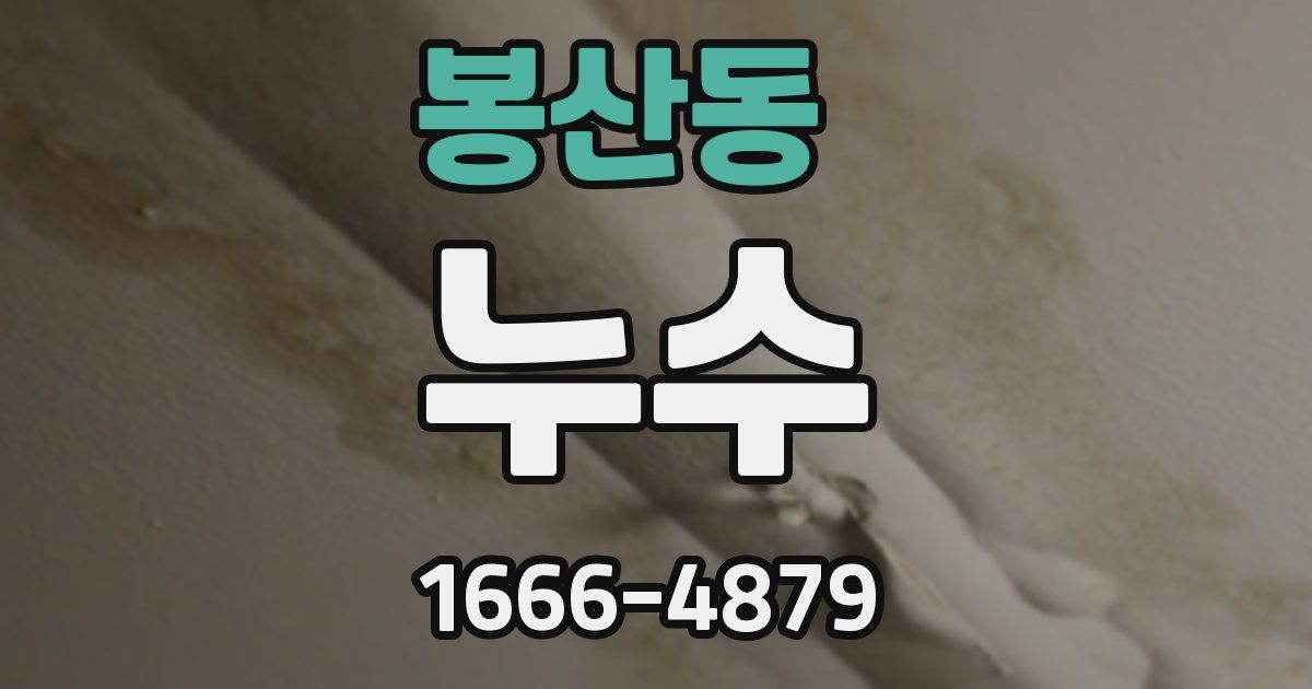 봉산동 누수