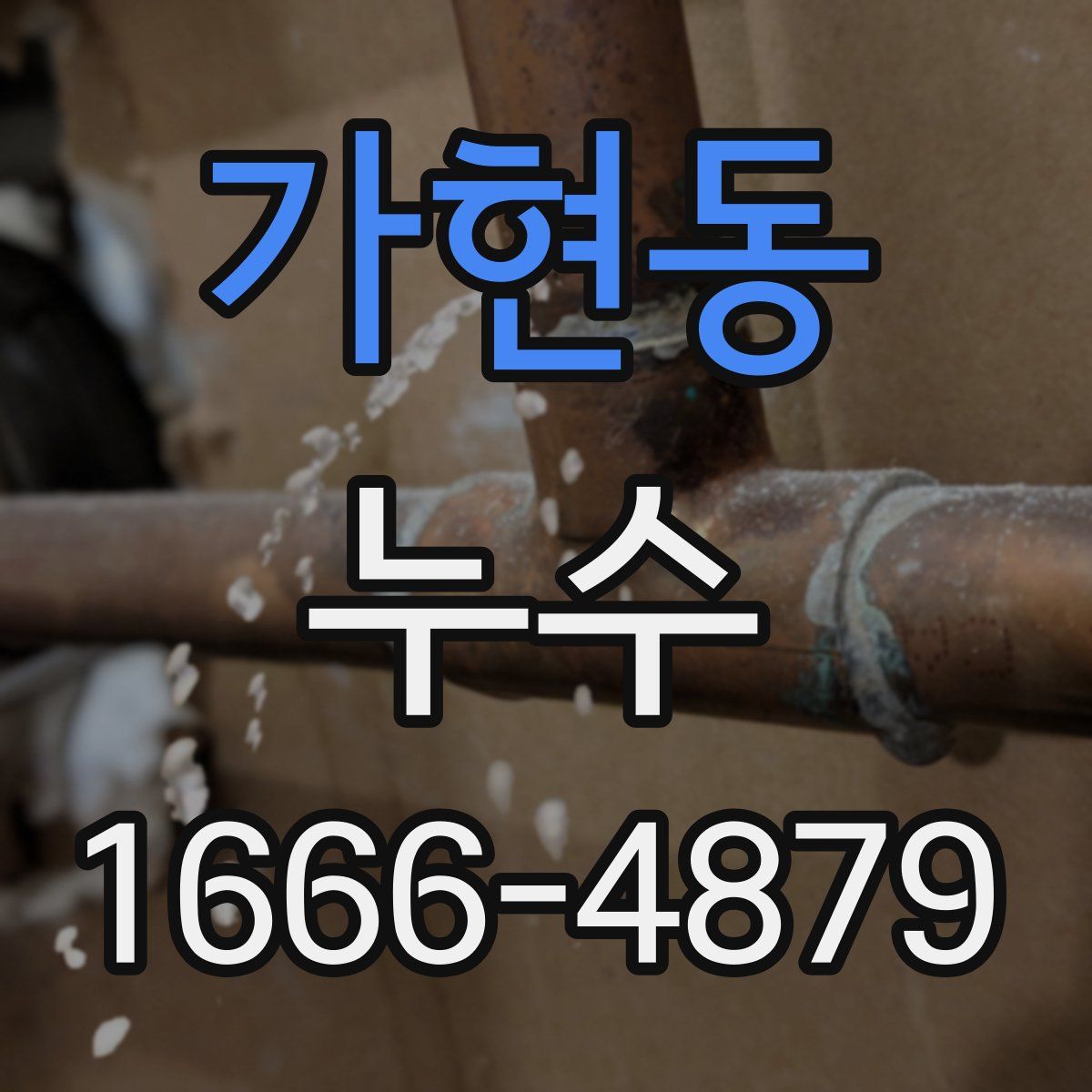 가현동 누수