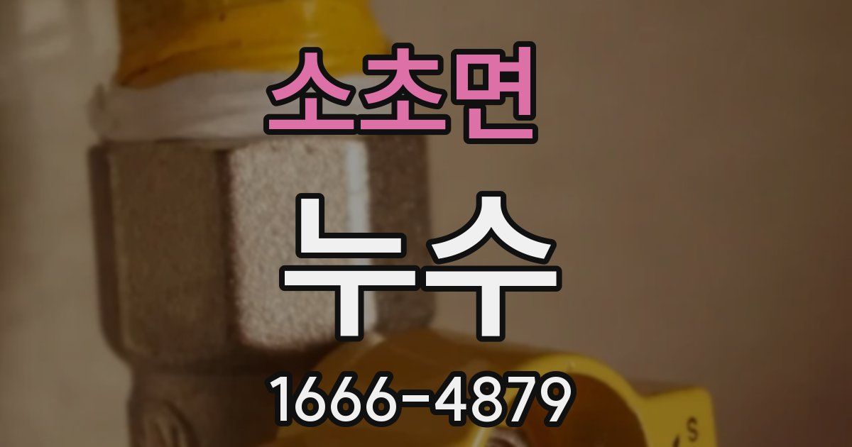 소초면 누수