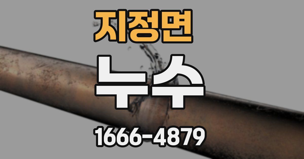 지정면 누수