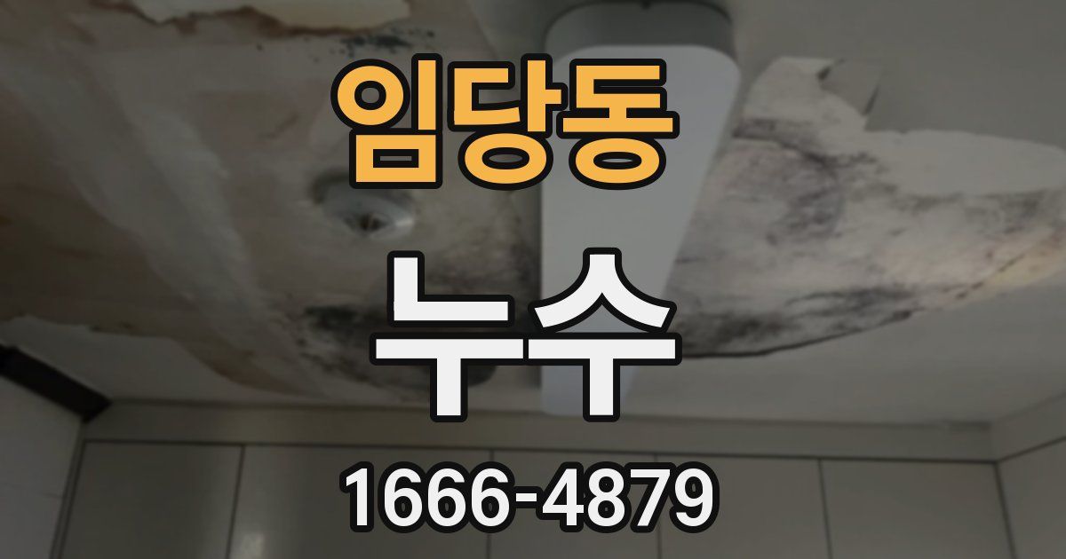 임당동 누수