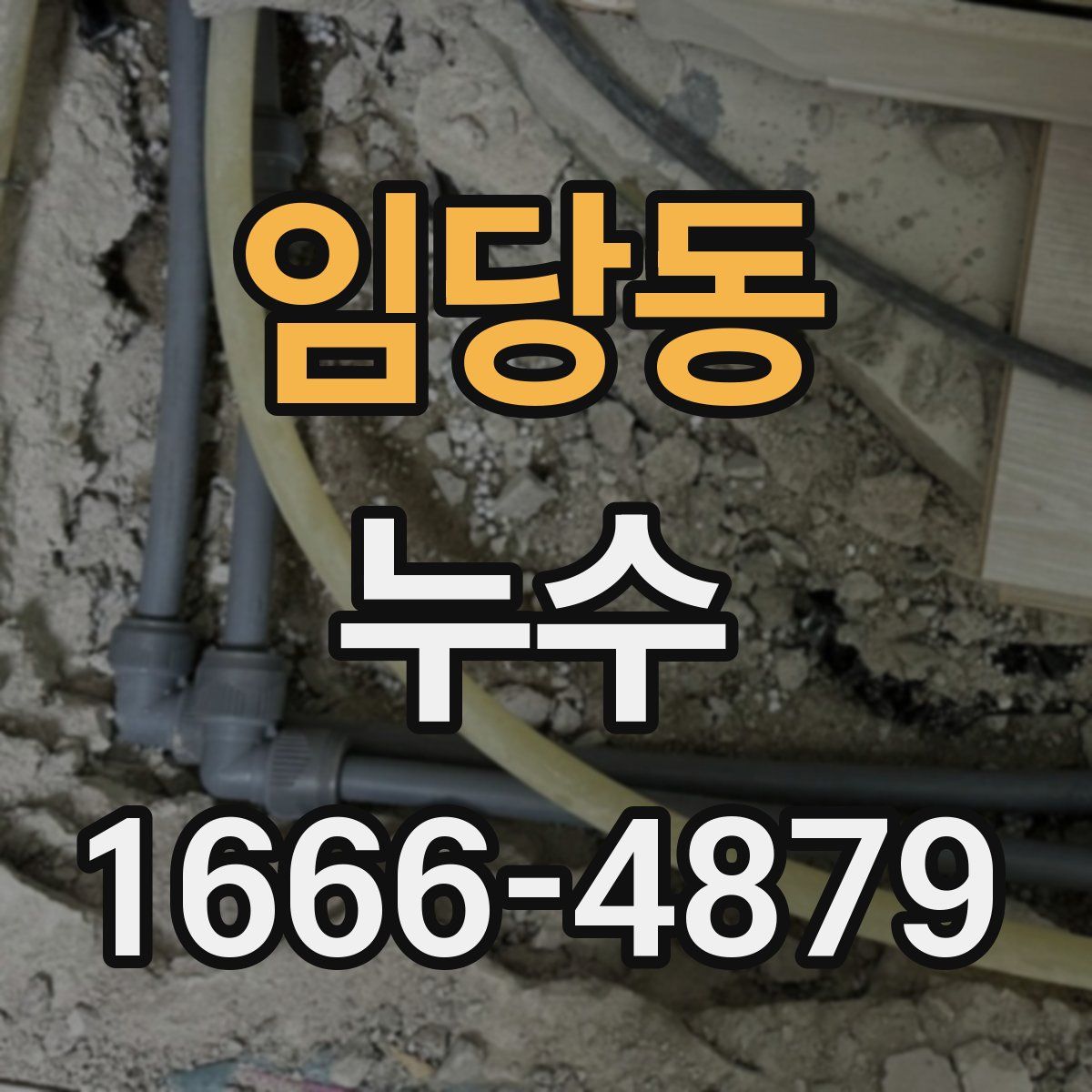 임당동 누수