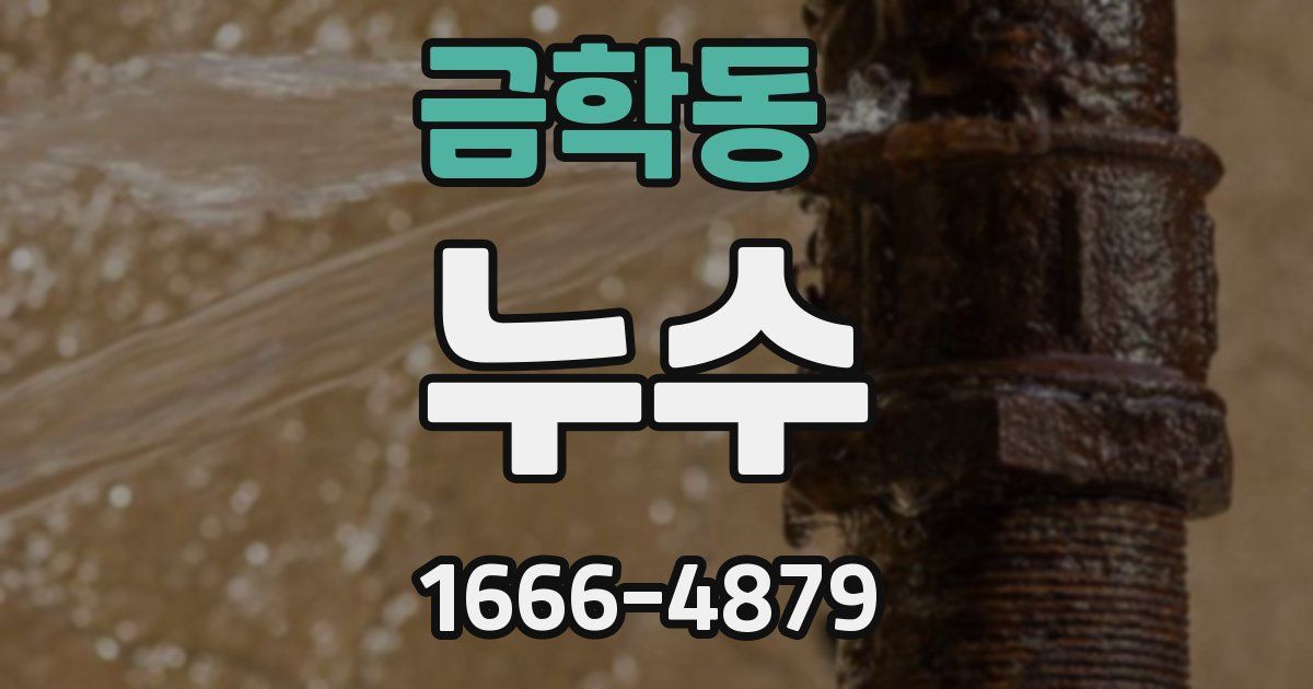 금학동 누수