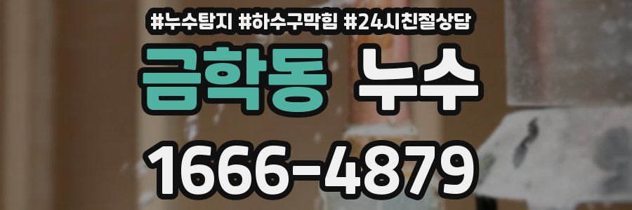 금학동 누수
