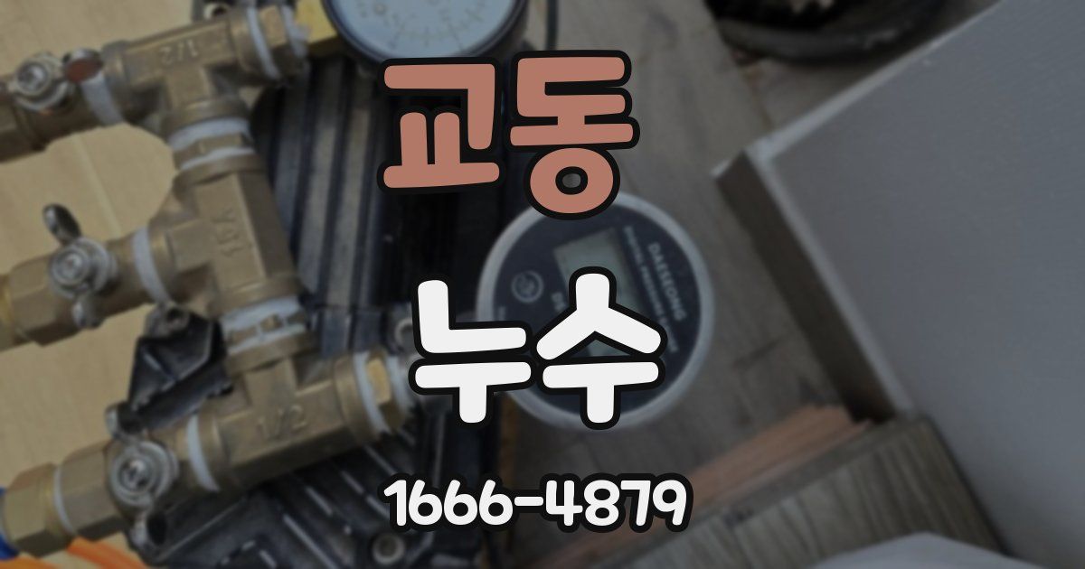 교동 누수