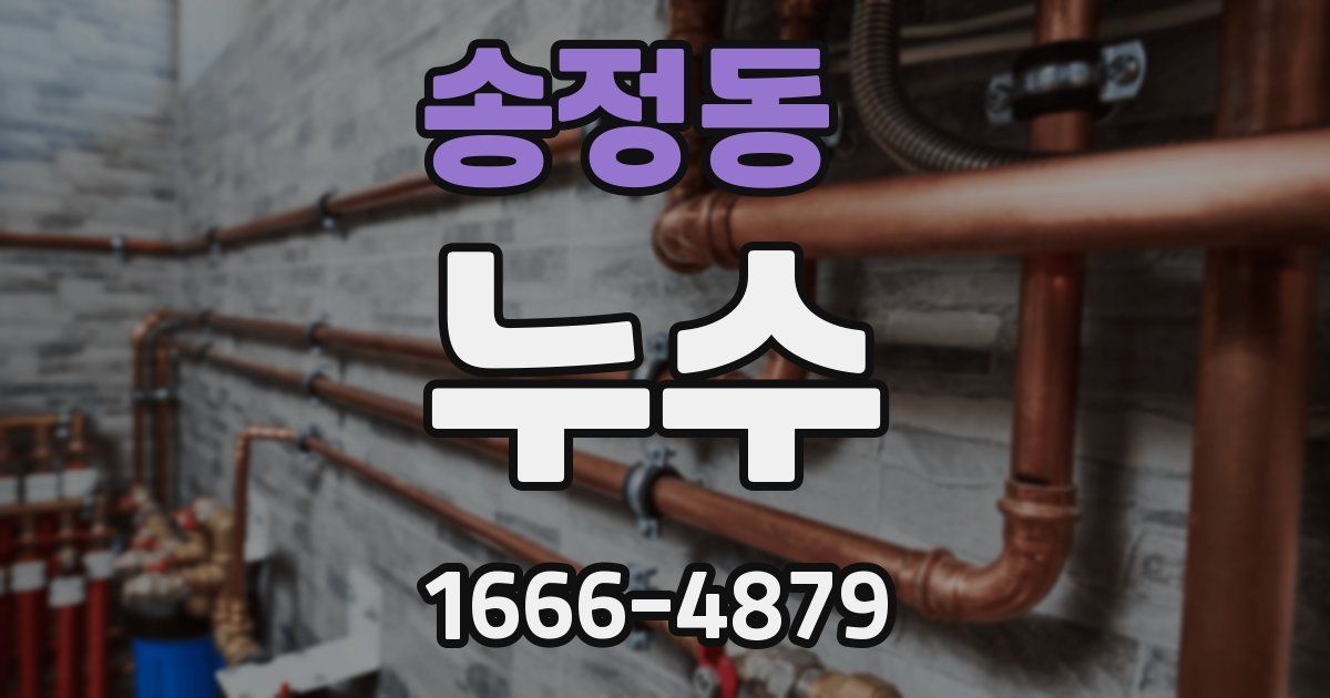 송정동 누수