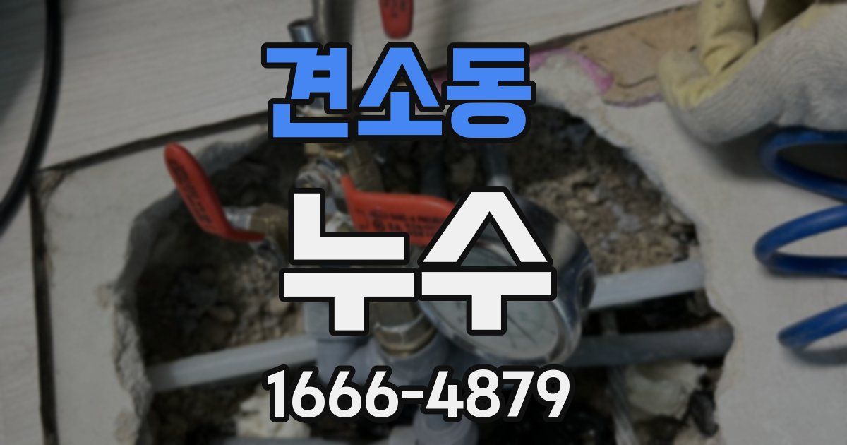 견소동 누수