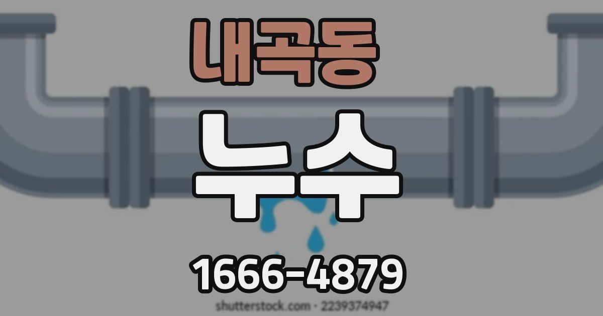 내곡동 누수