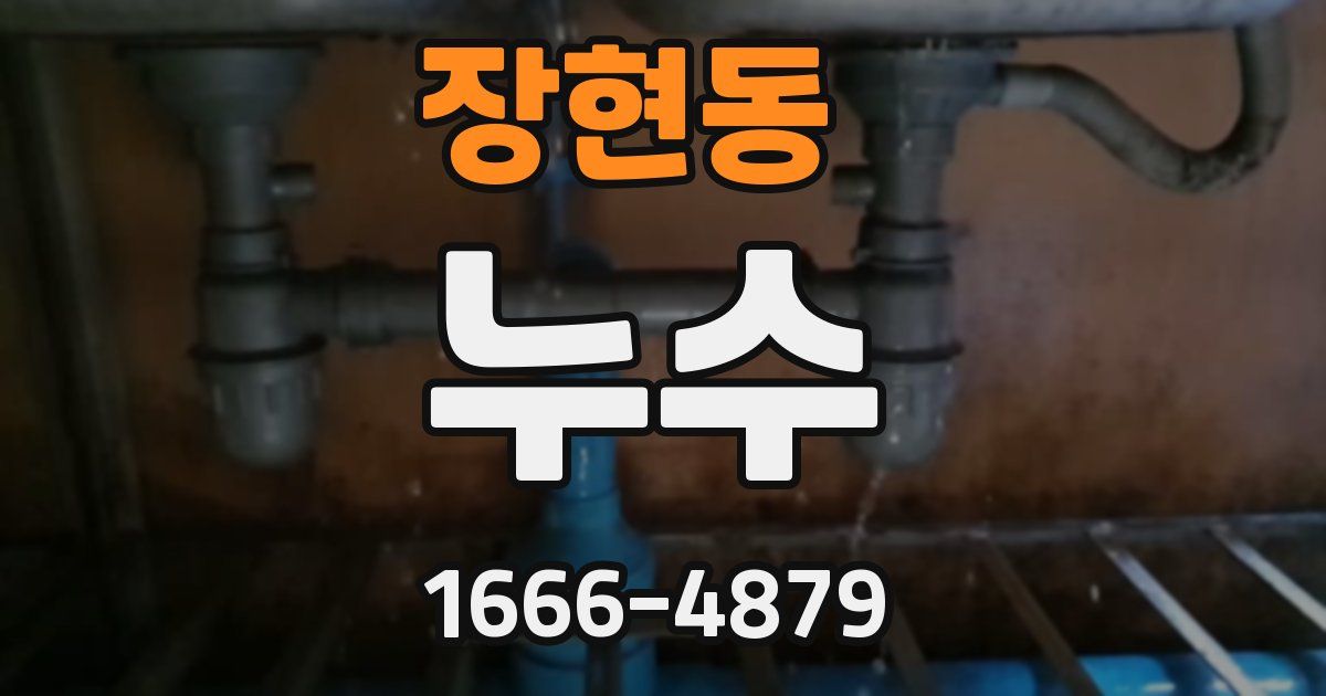 장현동 누수