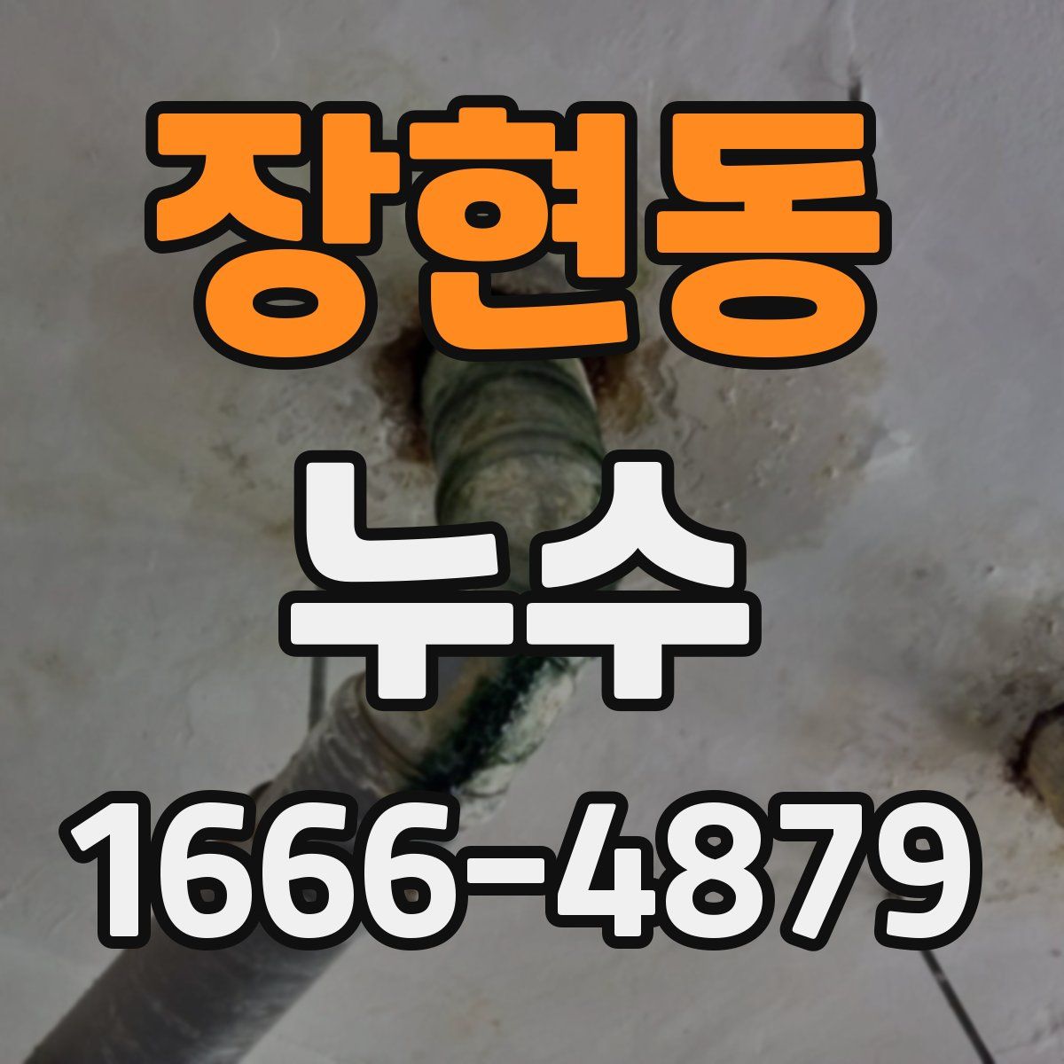 장현동 누수