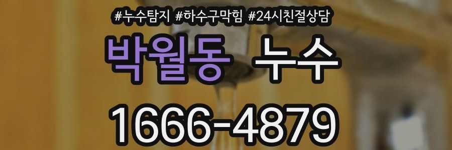 박월동 누수