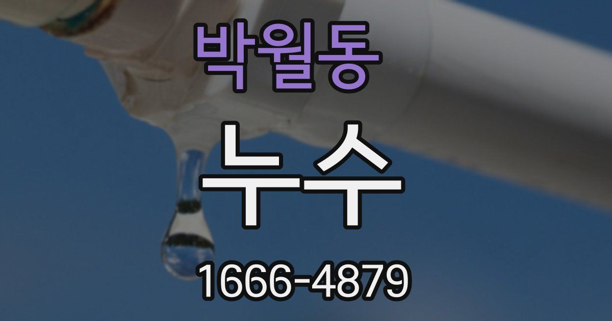 박월동 누수
