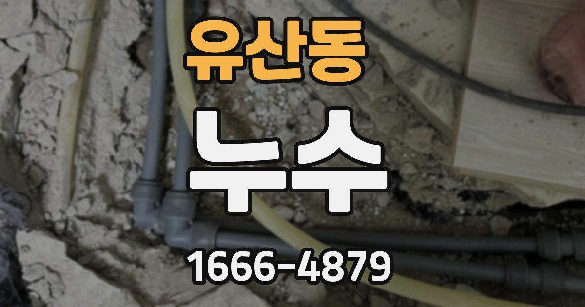 유산동 누수