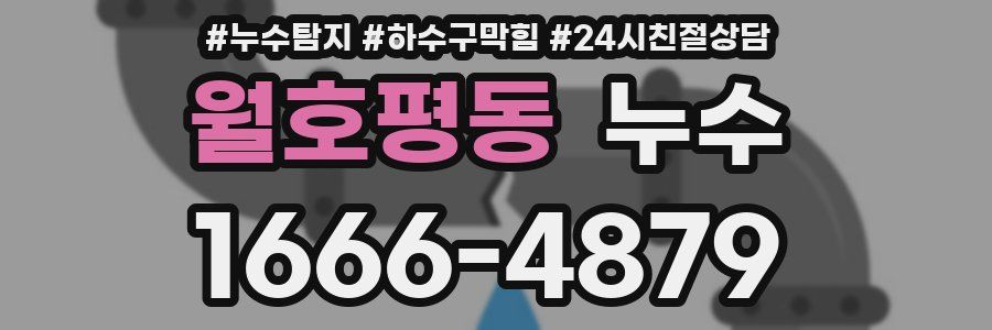 월호평동 누수