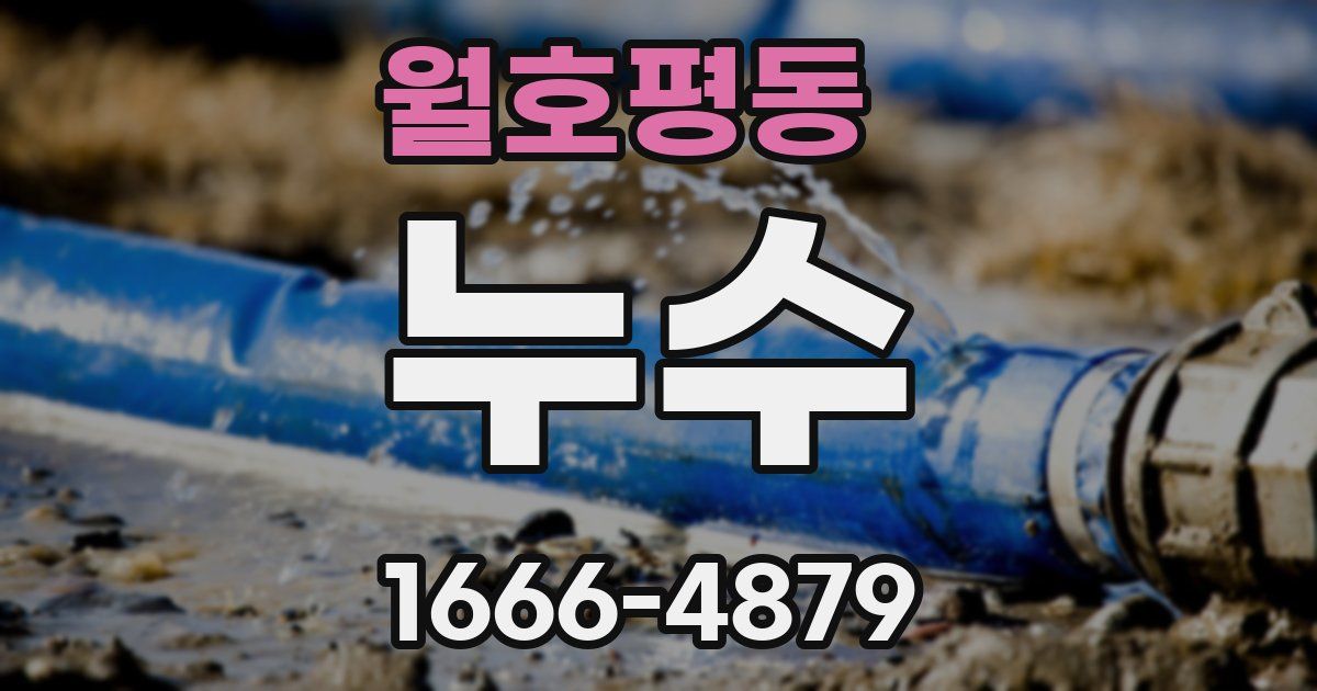 월호평동 누수