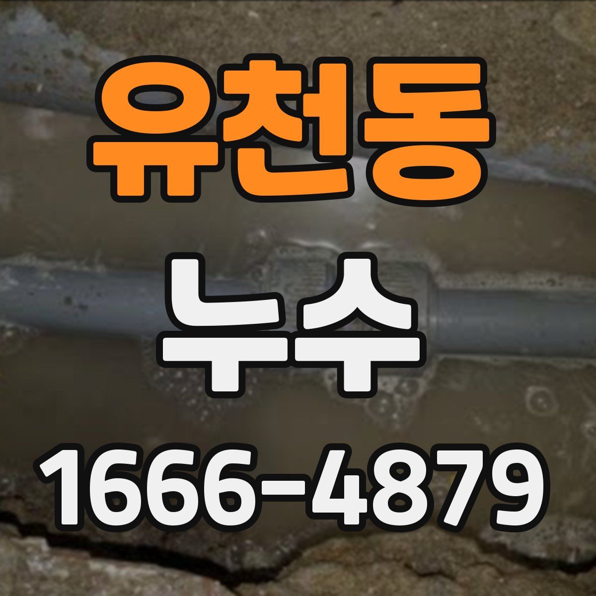 유천동 누수