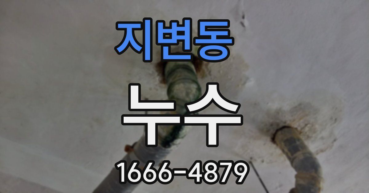 지변동 누수