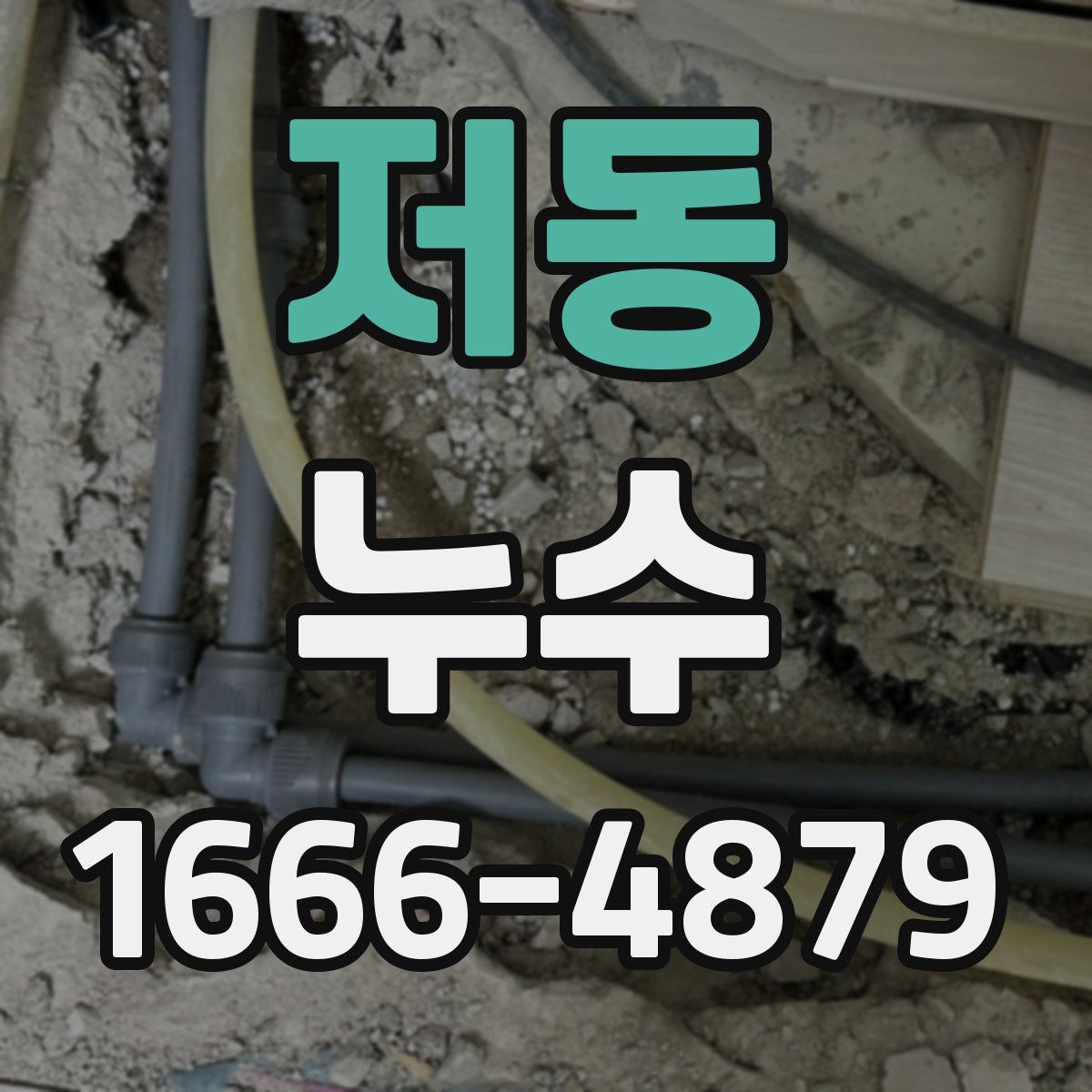 저동 누수