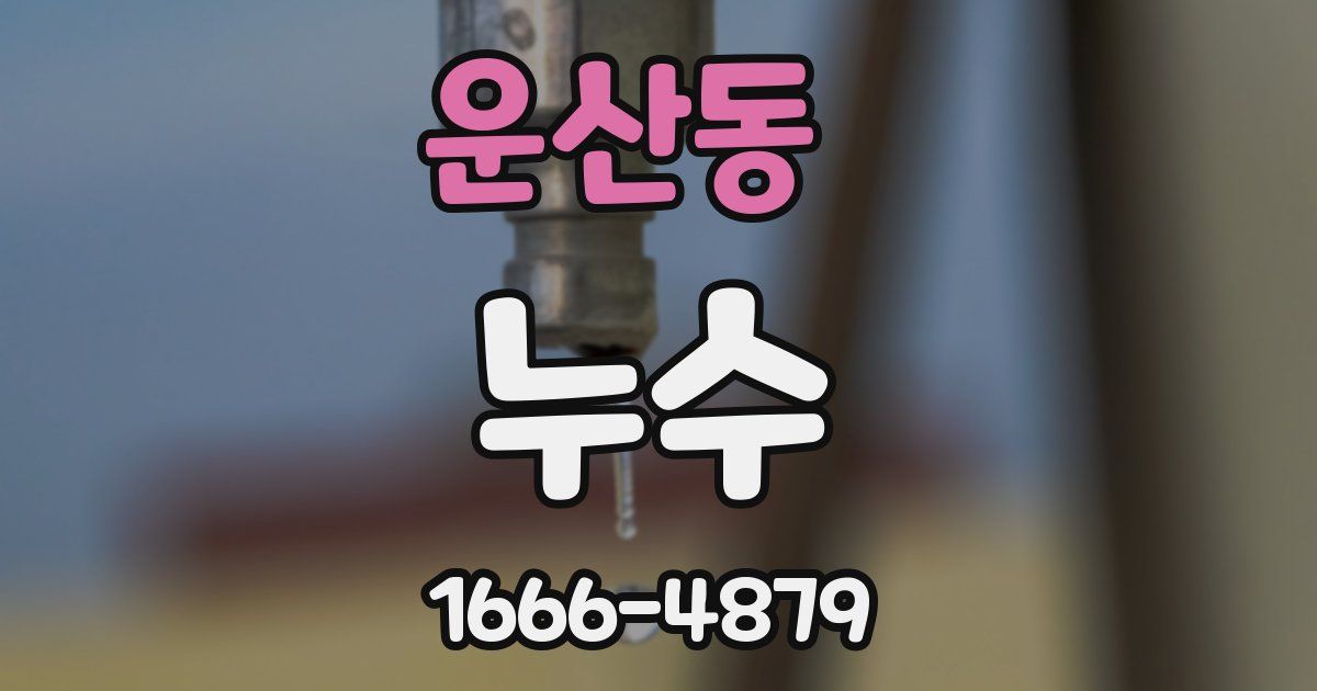 운산동 누수