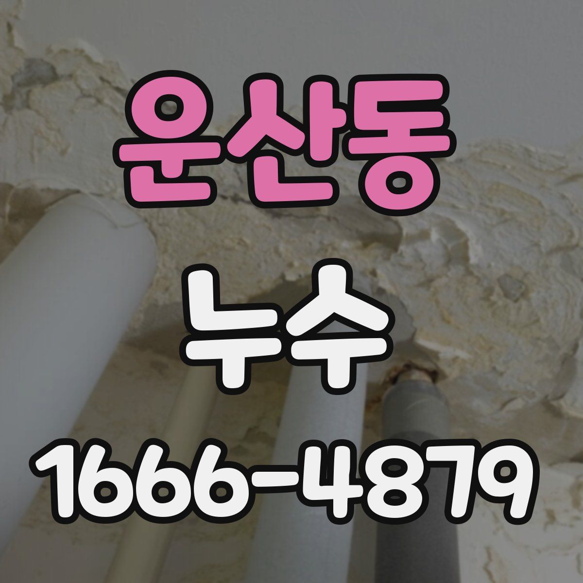운산동 누수