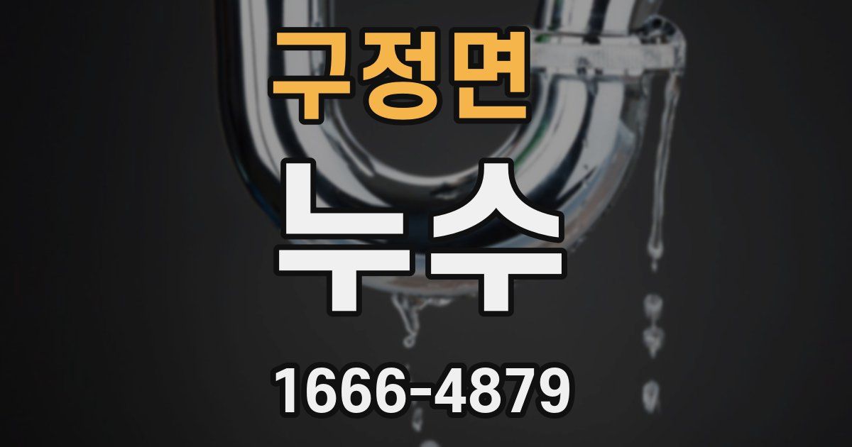 구정면 누수