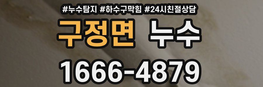 구정면 누수