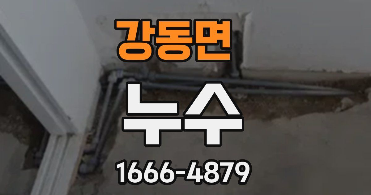 강동면 누수