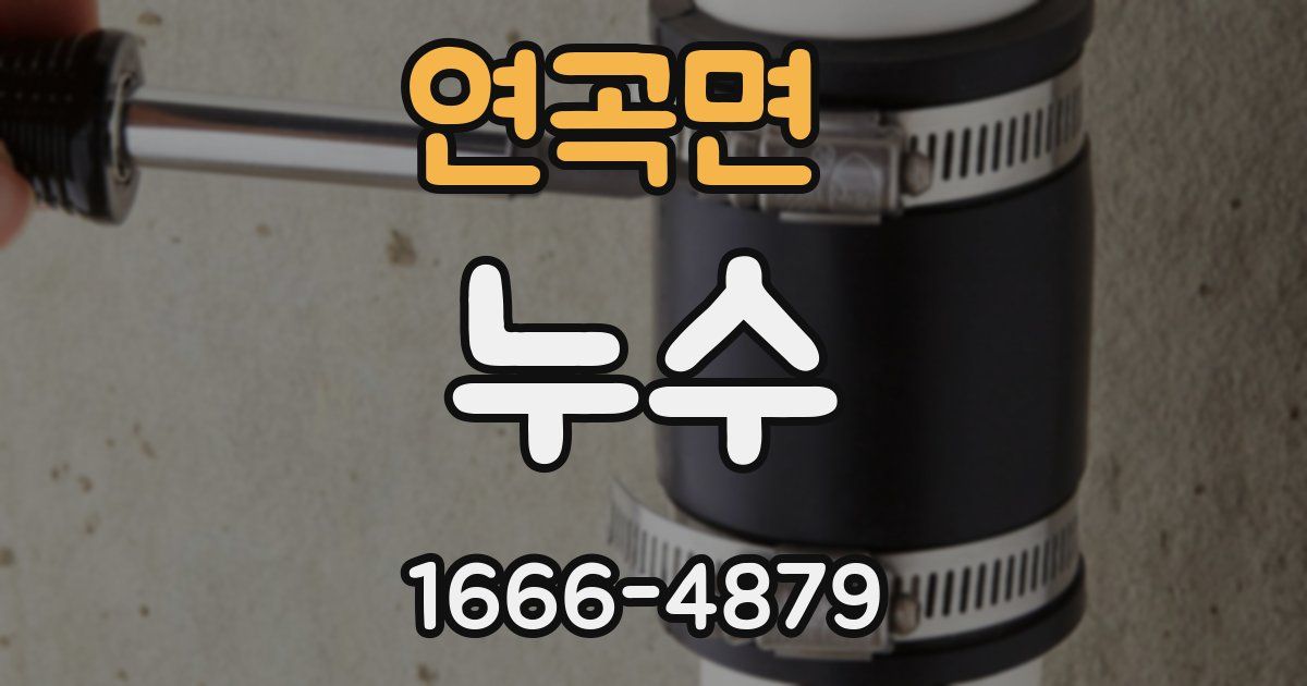 연곡면 누수