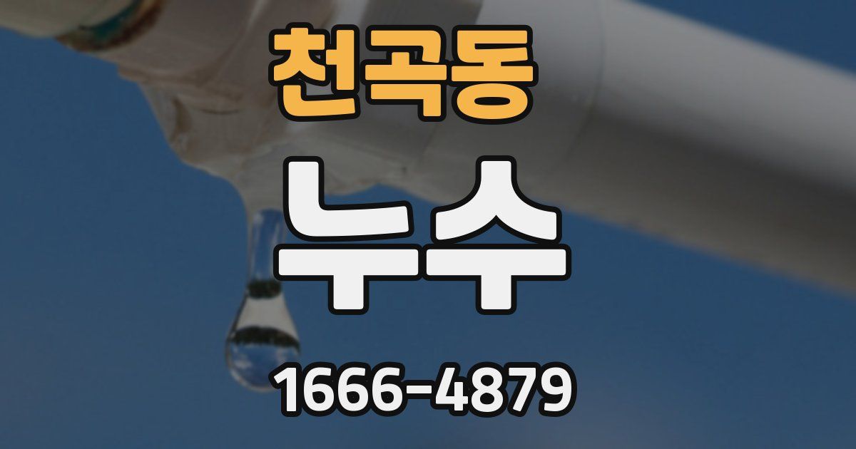 천곡동 누수