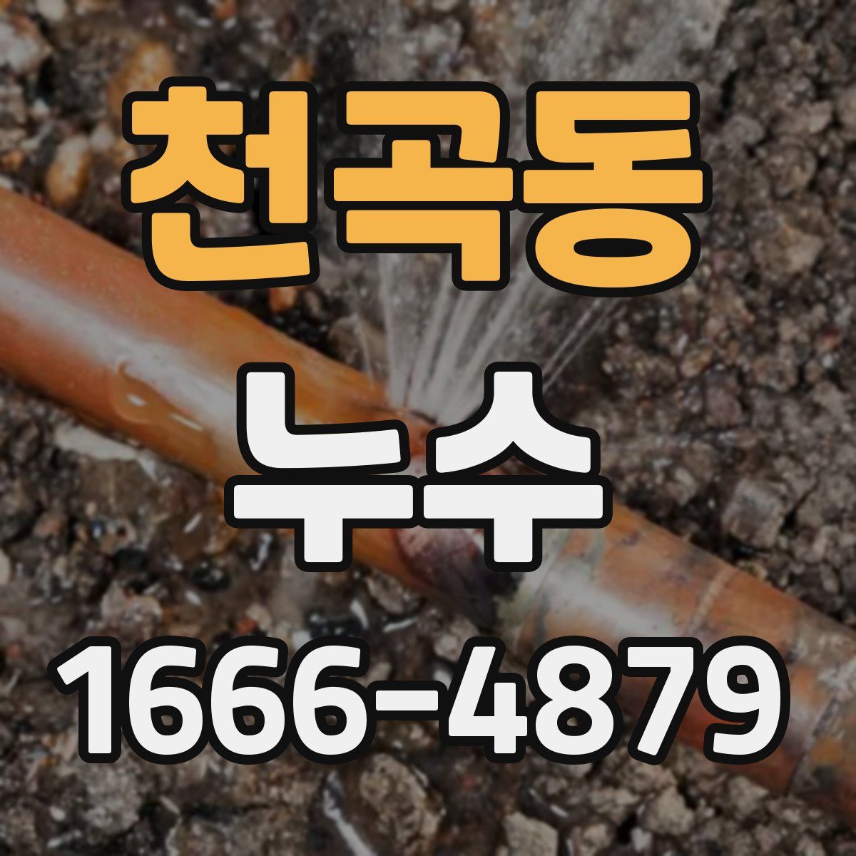 천곡동 누수