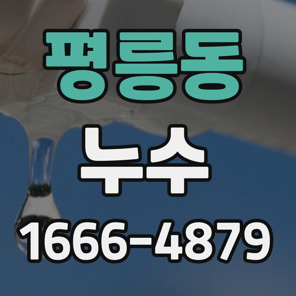 평릉동 누수
