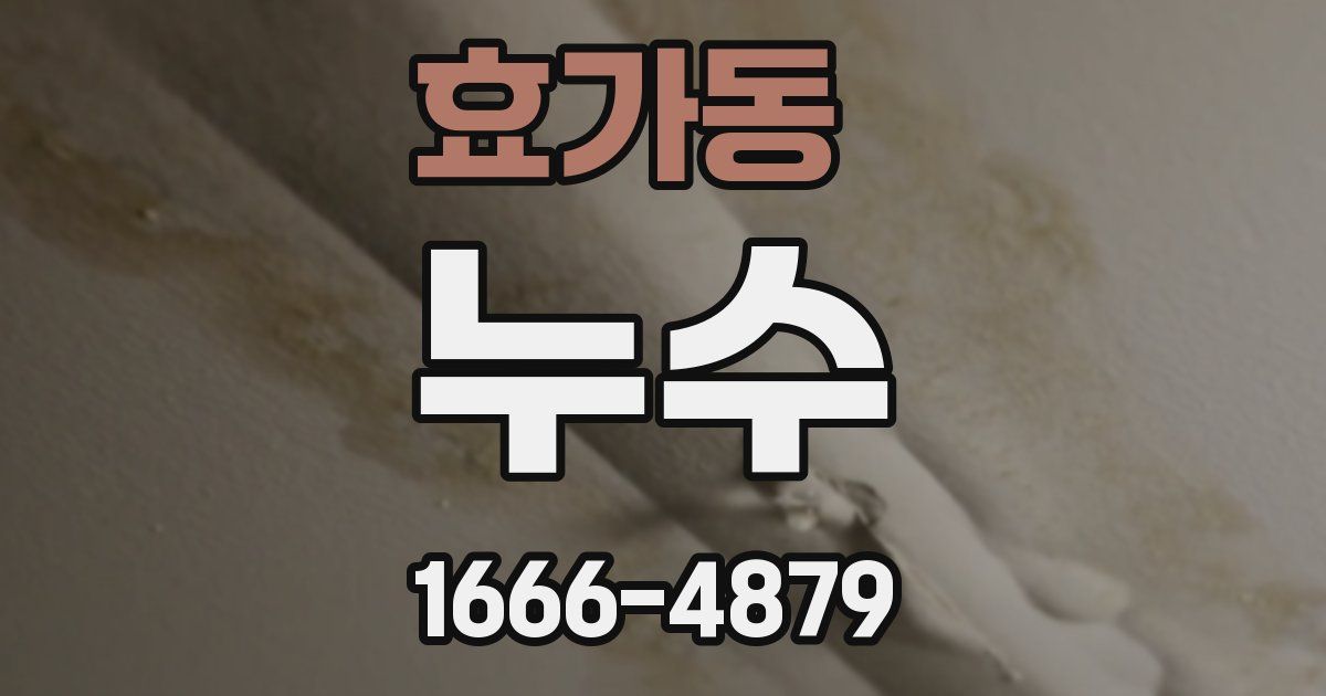 효가동 누수