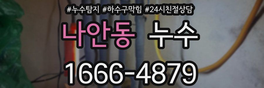 나안동 누수