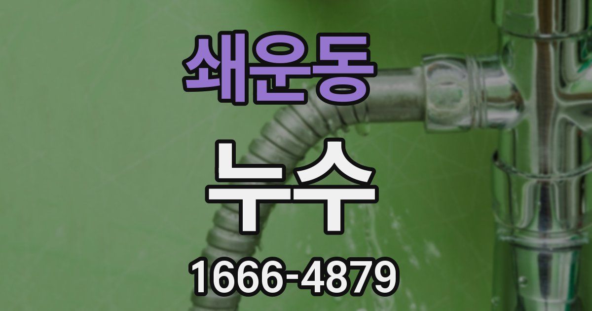 쇄운동 누수