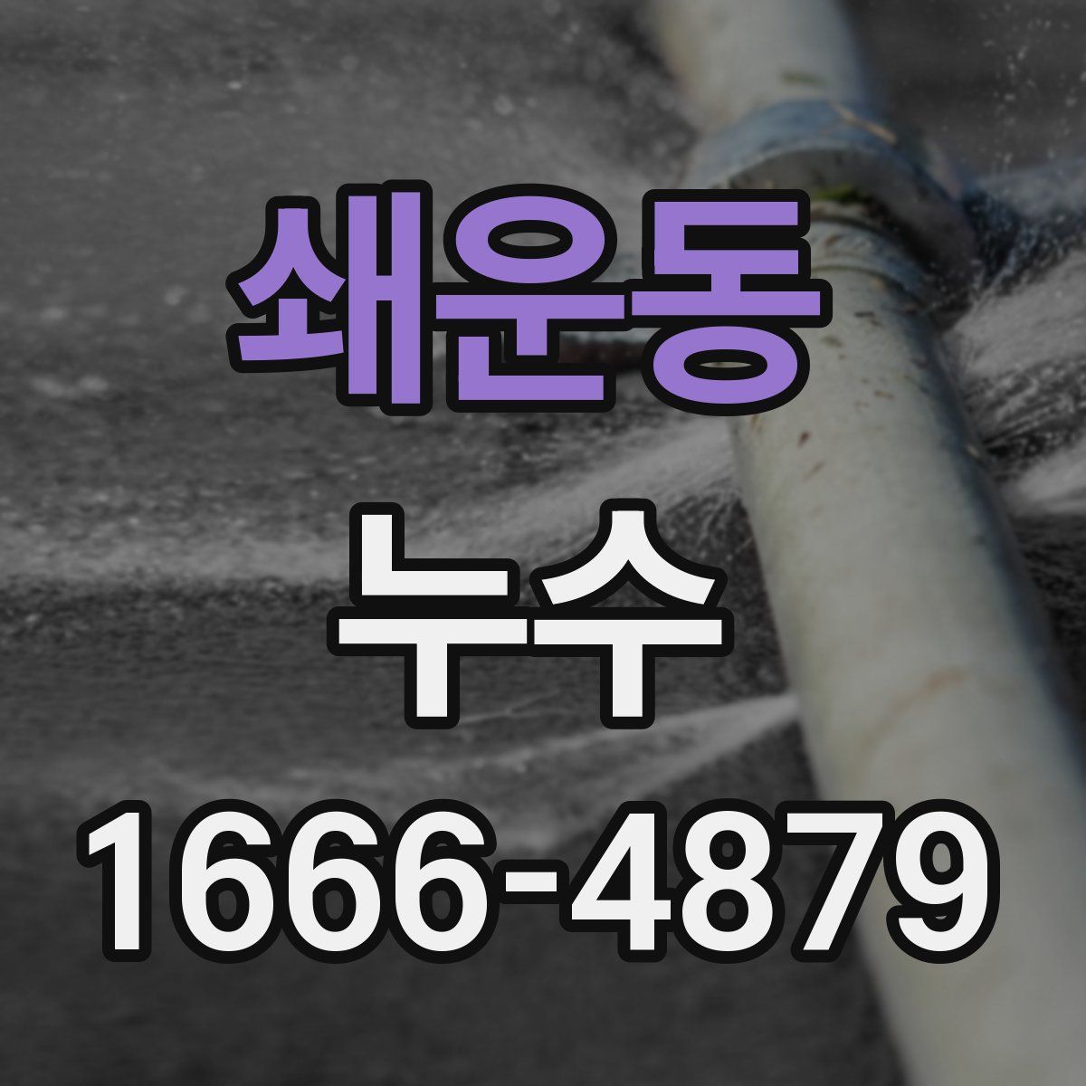 쇄운동 누수