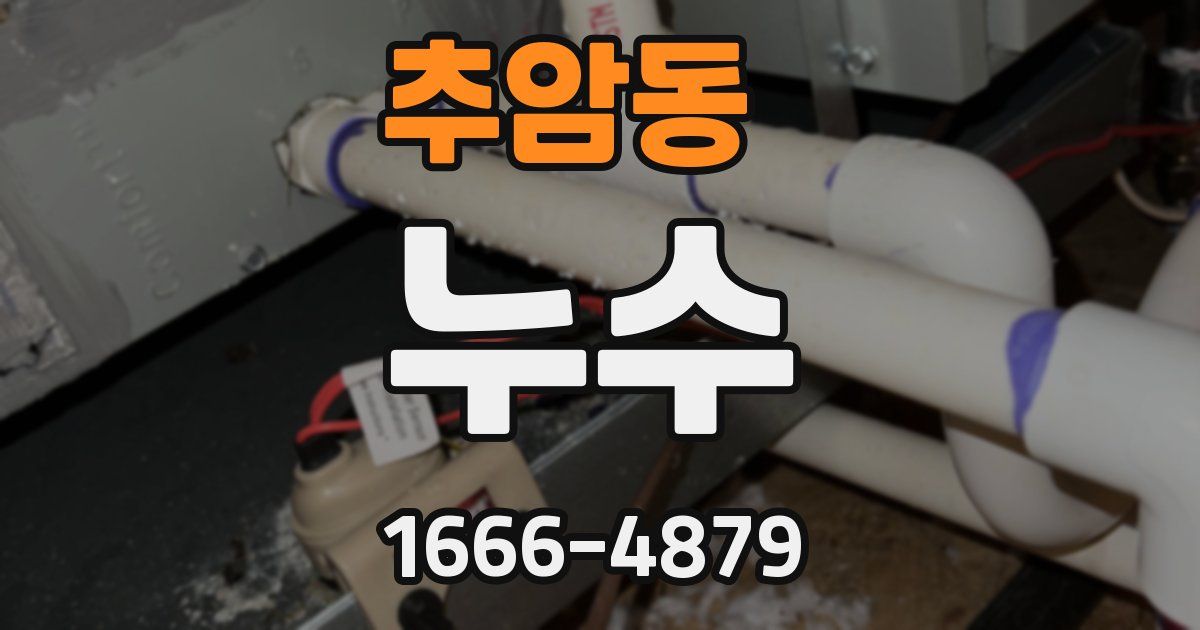 추암동 누수