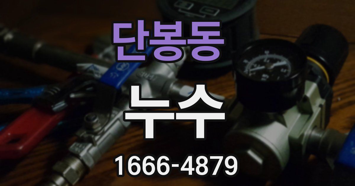 단봉동 누수