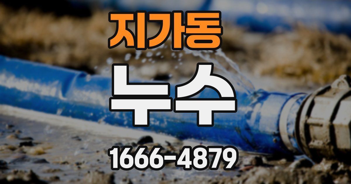지가동 누수