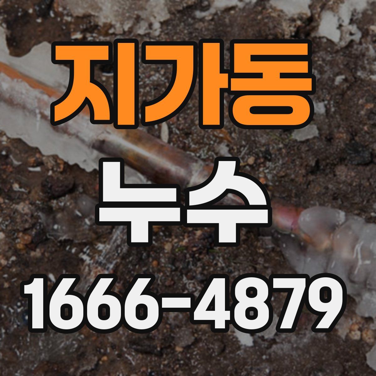 지가동 누수