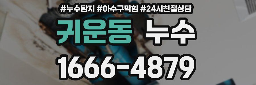 귀운동 누수