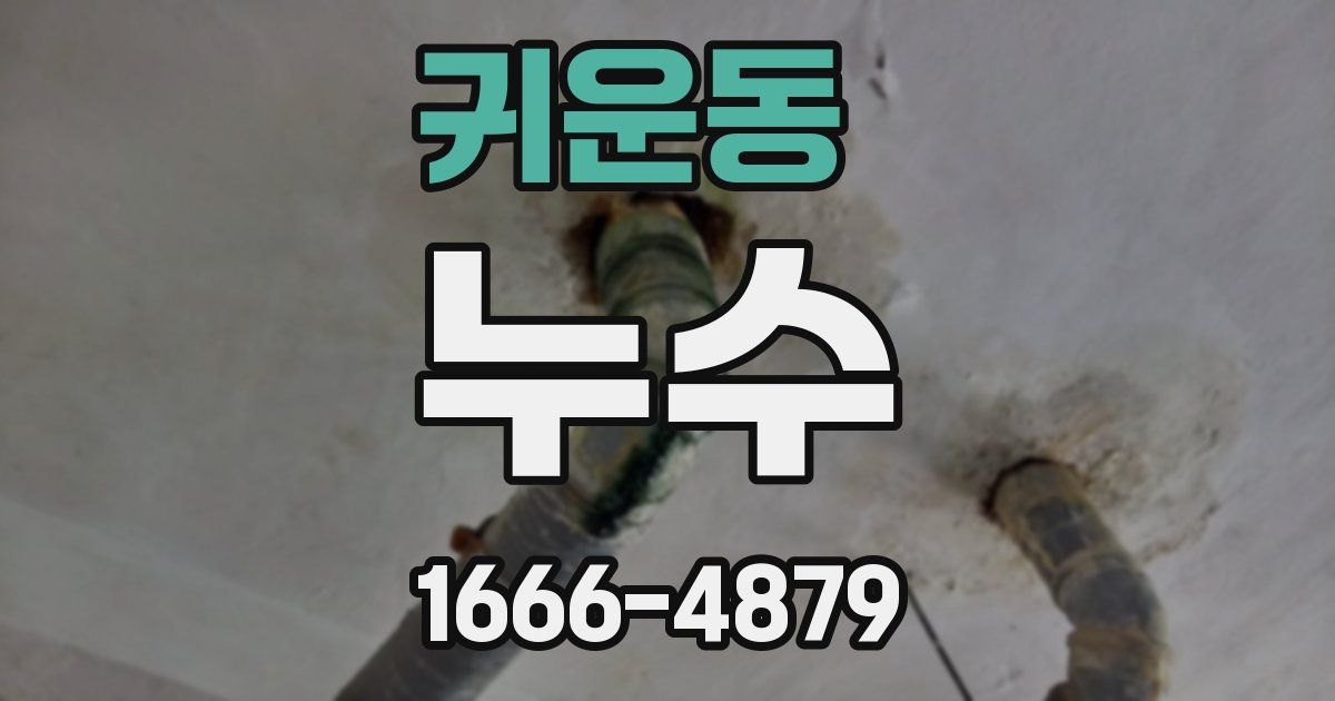 귀운동 누수