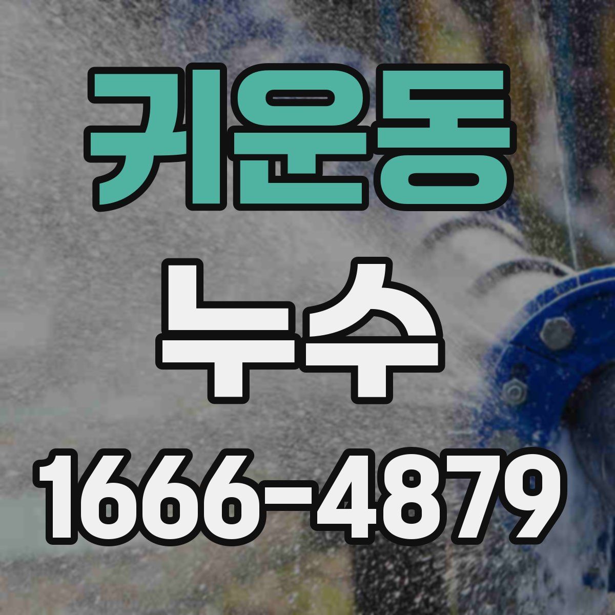 귀운동 누수