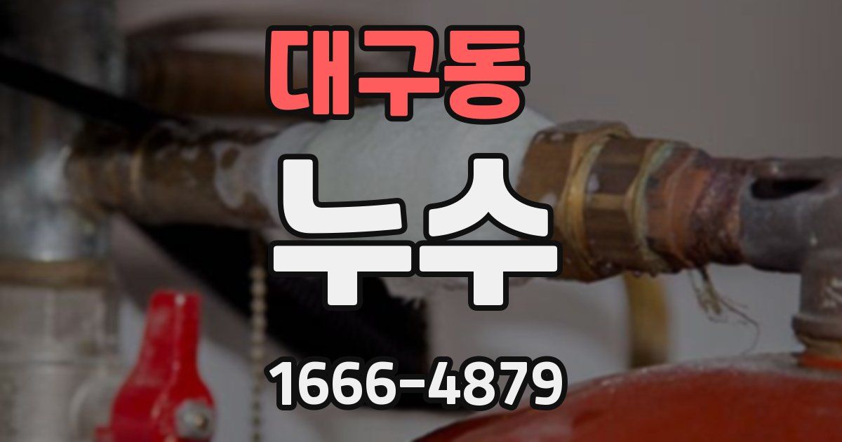대구동 누수