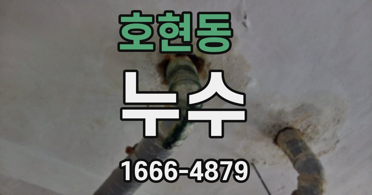 호현동 누수