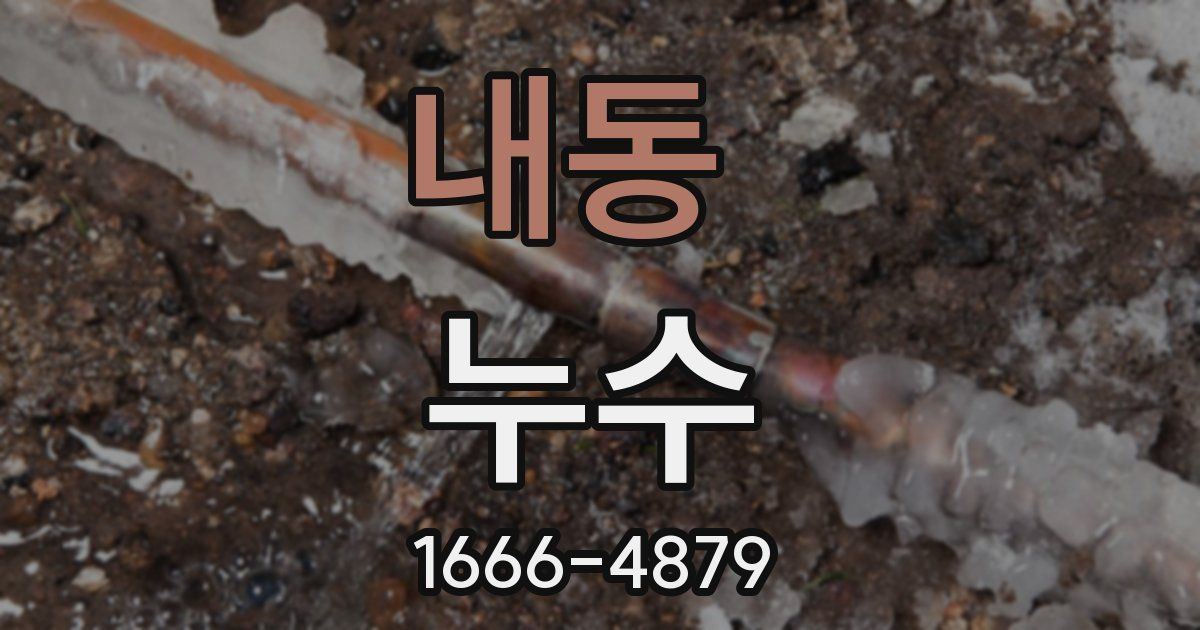 내동 누수