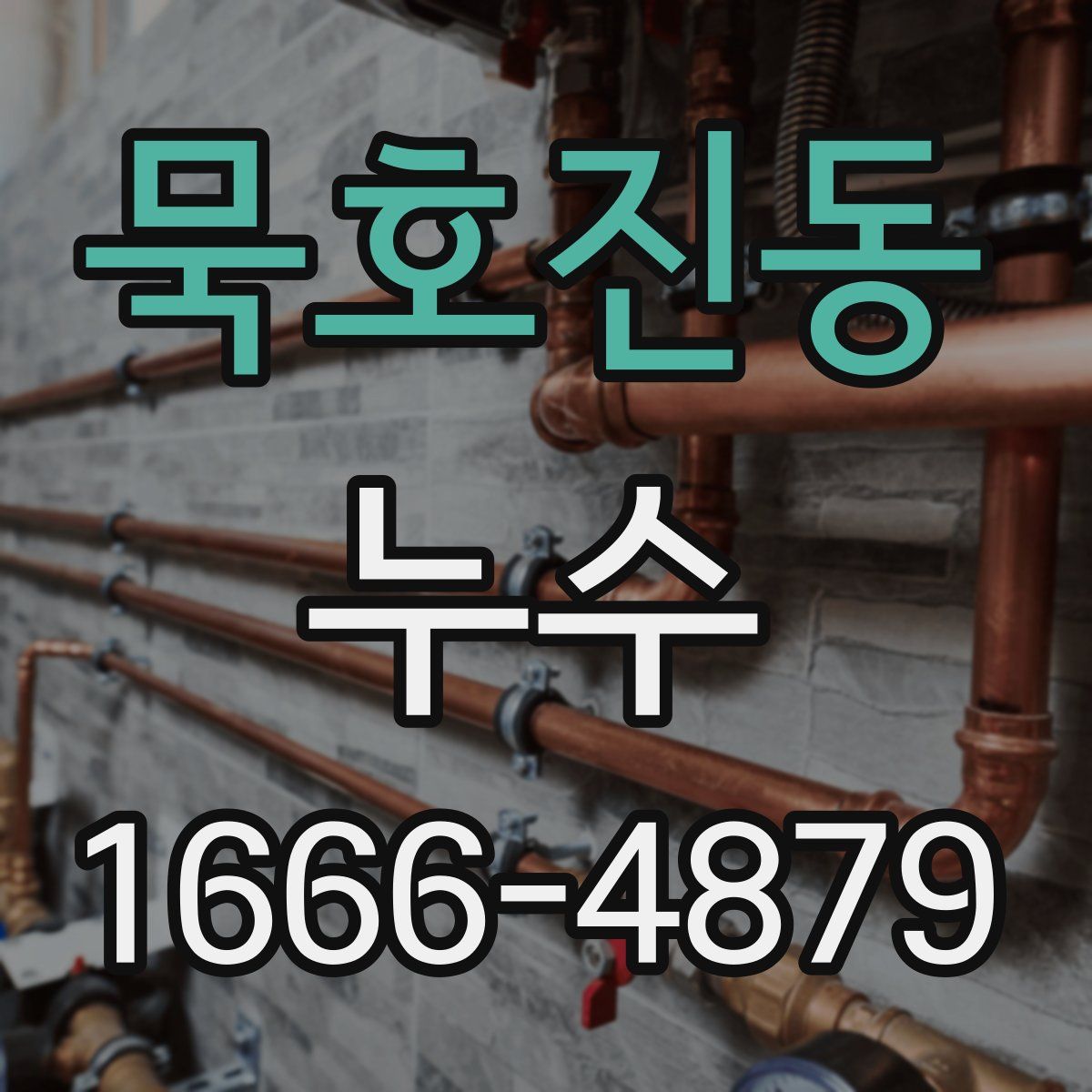 묵호진동 누수