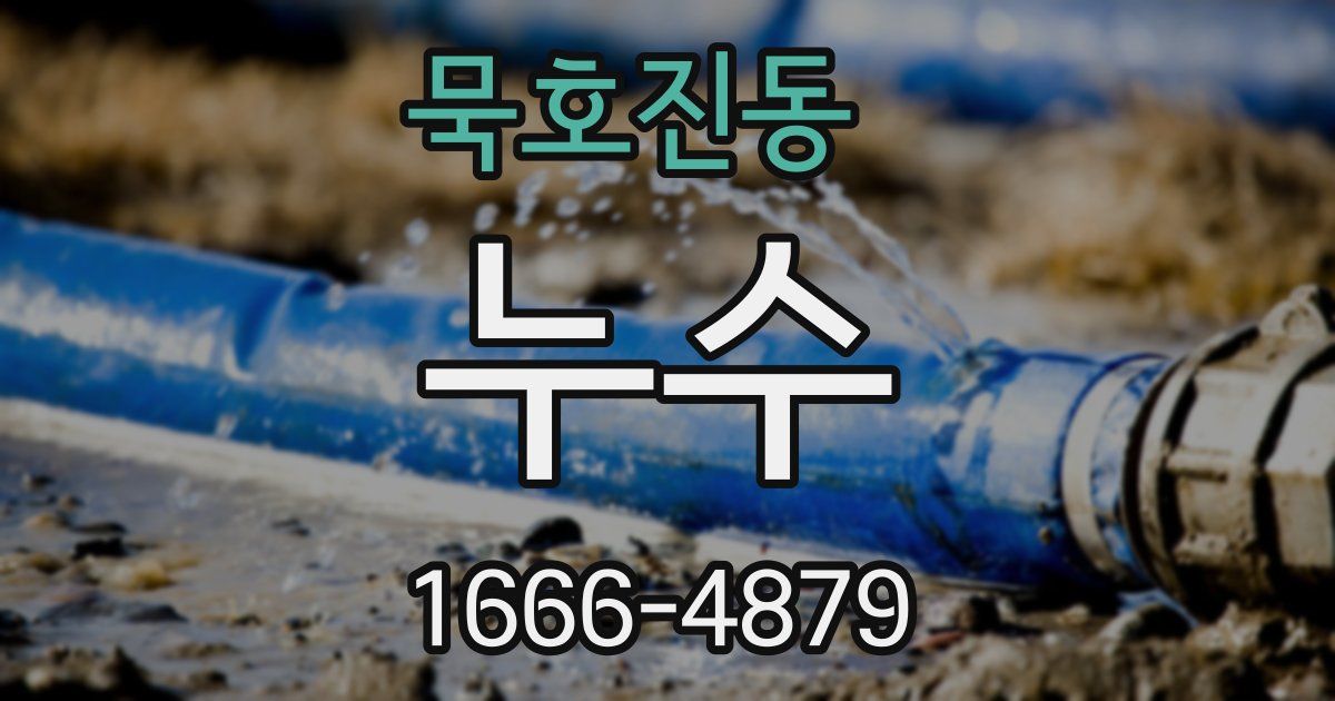 묵호진동 누수