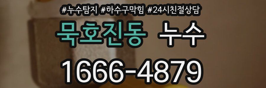 묵호진동 누수