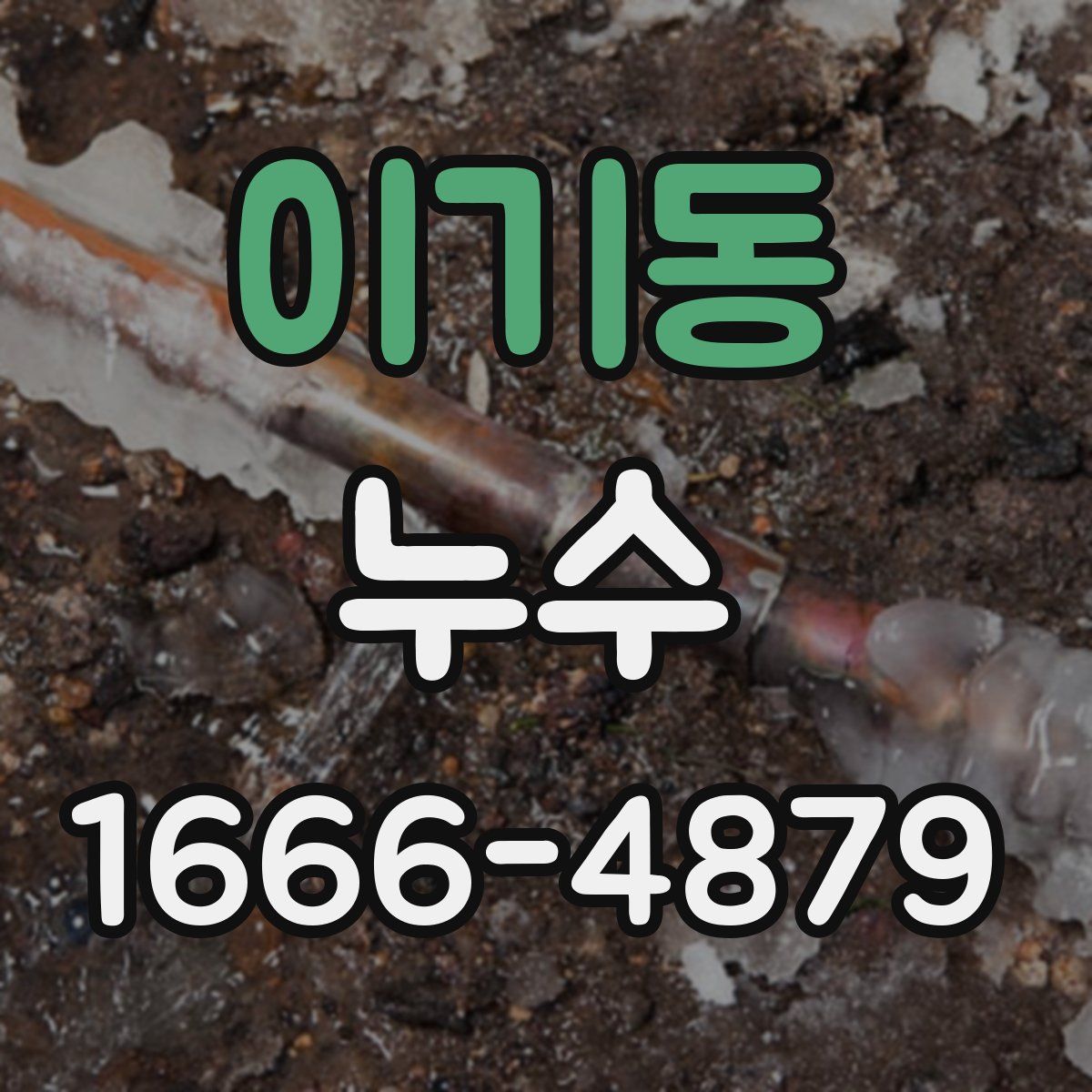 이기동 누수